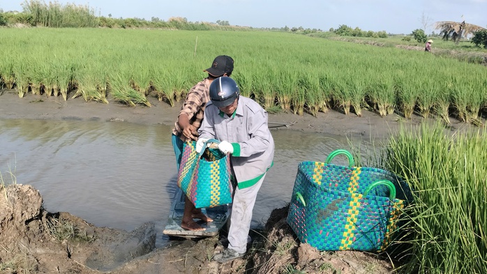 VIDEO: Nông dân miền Tây quậy bùn vần công bắt tôm càng xanh - Ảnh 8.