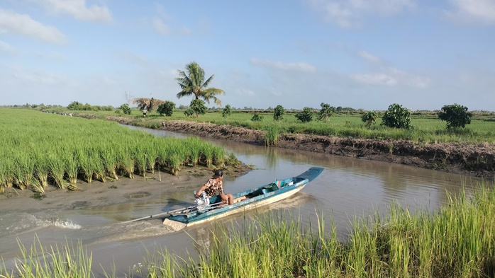 VIDEO: Nông dân miền Tây quậy bùn vần công bắt tôm càng xanh - Ảnh 9.