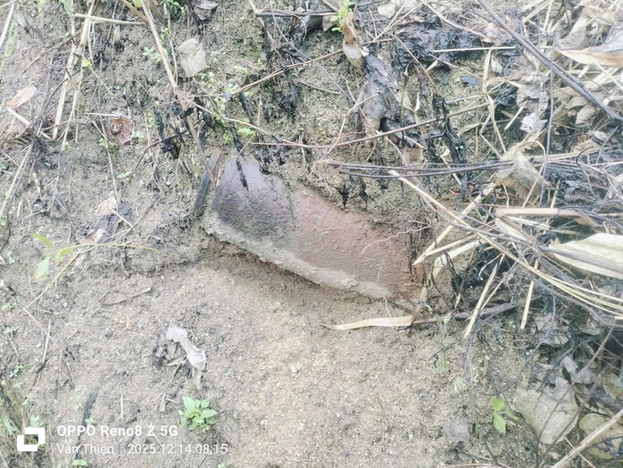 Thứ không ai muốn thấy vừa xuất hiện trong rẫy người dân ở Đà Nẵng - Ảnh 1. Thứ không ai muốn thấy vừa xuất hiện trong rẫy người dân ở Đà Nẵng - Ảnh 1.