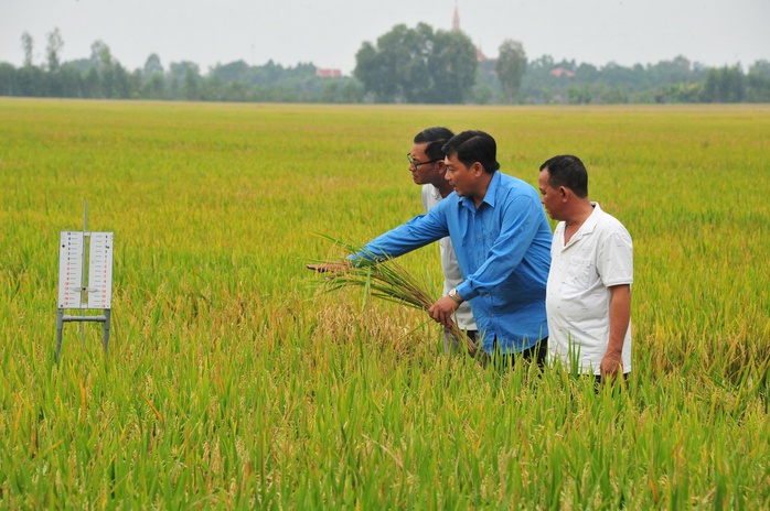 C&aacute;n bộ cơ sở: Cầu nối ch&iacute;nh s&aacute;ch đến người d&acirc;n - Ảnh 6.