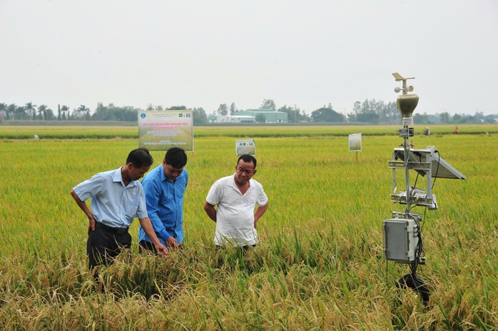 C&aacute;n bộ cơ sở: Cầu nối ch&iacute;nh s&aacute;ch đến người d&acirc;n - Ảnh 7.