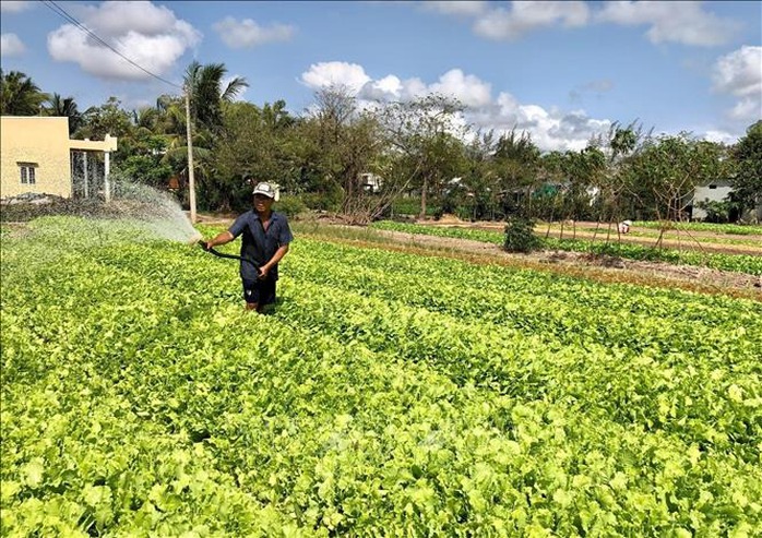 Minh bạch và kỷ cương trong công tác phòng chống tái nghèo tại Việt Nam - Ảnh 2. Minh bạch và kỷ cương trong công tác phòng chống tái nghèo tại Việt Nam - Ảnh 2.