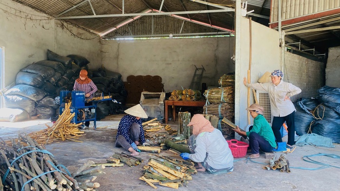 Minh bạch và kỷ cương trong công tác phòng chống tái nghèo tại Việt Nam - Ảnh 1. Minh bạch và kỷ cương trong công tác phòng chống tái nghèo tại Việt Nam - Ảnh 1.