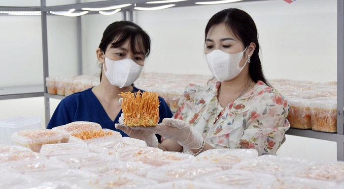 Lan tỏa tinh thần khởi nghiệp, đổi mới s&aacute;ng tạo - Ảnh 1.