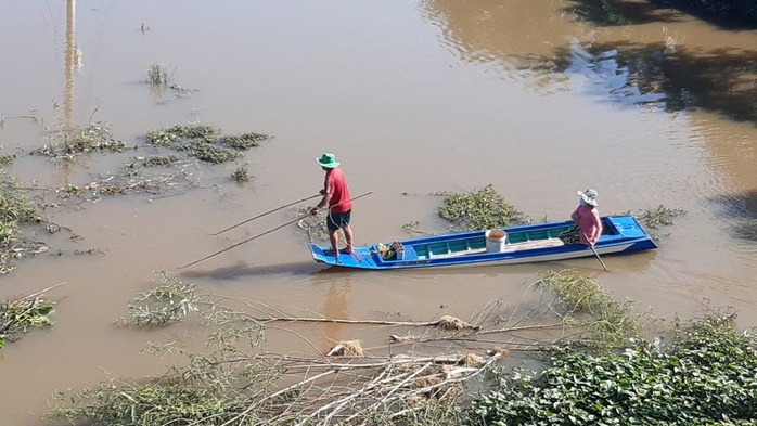 Ngư d&acirc;n quyết bỏ nghề khai th&aacute;c hủy diệt - Ảnh 1.