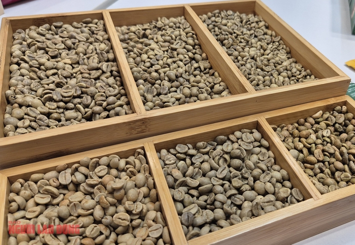 Gi&aacute; c&agrave; ph&ecirc; h&ocirc;m nay 18-12: Lao dốc phi&ecirc;n thứ 5 - Ảnh 1.