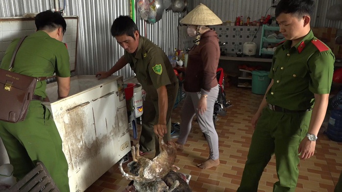 Diễn biến mới vụ kho chứa mèo không rõ nguồn gốc ở Đồng Tháp - Ảnh 3. Diễn biến mới vụ kho chứa mèo không rõ nguồn gốc ở Đồng Tháp - Ảnh 3.
