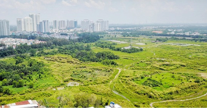 Th&ocirc;ng tin mới nhất về Quốc Cường Gia Lai v&agrave; Novaland - Ảnh 1.