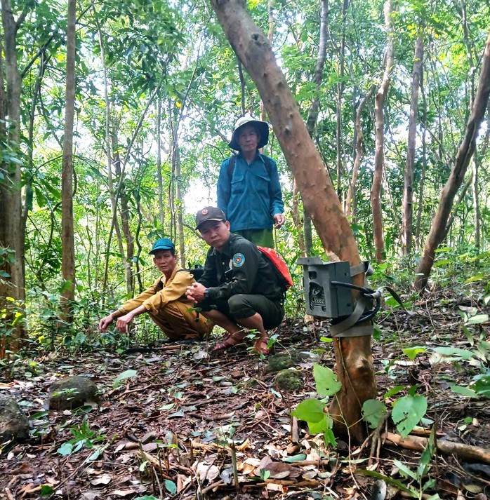 Bẫy ảnh gi&aacute;m s&aacute;t đa dạng sinh học tại Mỹ Sơn - Ảnh 2.