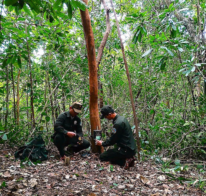 Bẫy ảnh gi&aacute;m s&aacute;t đa dạng sinh học tại Mỹ Sơn - Ảnh 1.