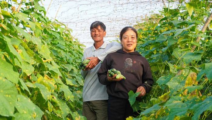 Ngăn "t&aacute;i ngh&egrave;o" để giảm ngh&egrave;o bền vững - Ảnh 1.