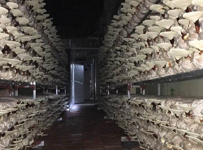 H&agrave;nh tr&igrave;nh khởi nghiệp của 1 trong 100 N&ocirc;ng d&acirc;n Việt Nam xuất sắc năm 2023 - Ảnh 3.