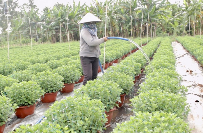 Ngăn "t&aacute;i ngh&egrave;o" để giảm ngh&egrave;o bền vững - Ảnh 3.