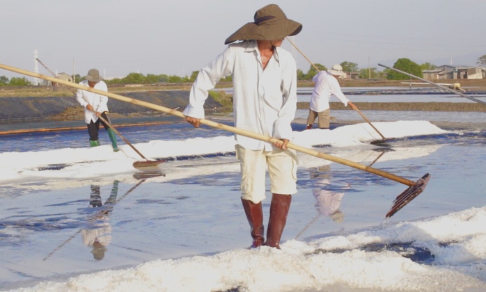 Li&ecirc;n kết để mở lối sinh kế bền vững - Ảnh 4.