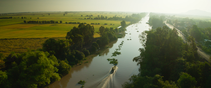 Mỹ T&acirc;m bật m&iacute; l&yacute; do l&agrave;m phim Mai T&agrave;i Phến đạo diễn - Ảnh 1.