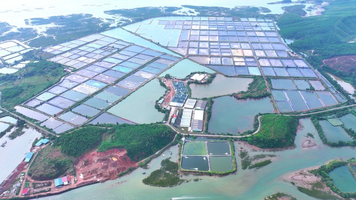 Tập đo&agrave;n BIM khởi c&ocirc;ng 3 dự &aacute;n lớn tại Quảng Ninh với tổng đầu tư gần 10 . 500 Tỉ đồng - Ảnh 3.