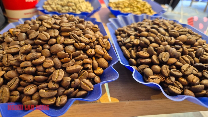 Gi&aacute; c&agrave; ph&ecirc; h&ocirc;m nay 20 - 12: Ti&ecirc;u thụ tăng kỷ lục v&agrave; gi&aacute; giảm nhẹ - Ảnh 2.