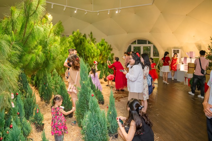 Lễ hội gi&aacute;ng sinh lần đầu ở  Dinh độc lập  - Ảnh 2.