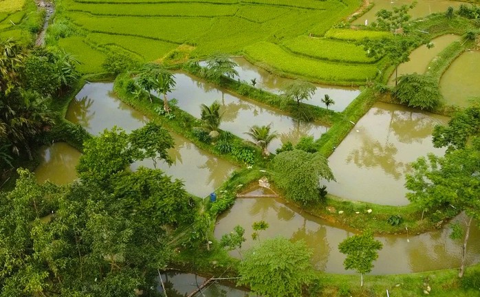 Mạng x&atilde; hội trong lan tỏa m&ocirc; h&igrave;nh tho&aacute;t ngh&egrave;o ở Thanh H&oacute;a - Ảnh 4.