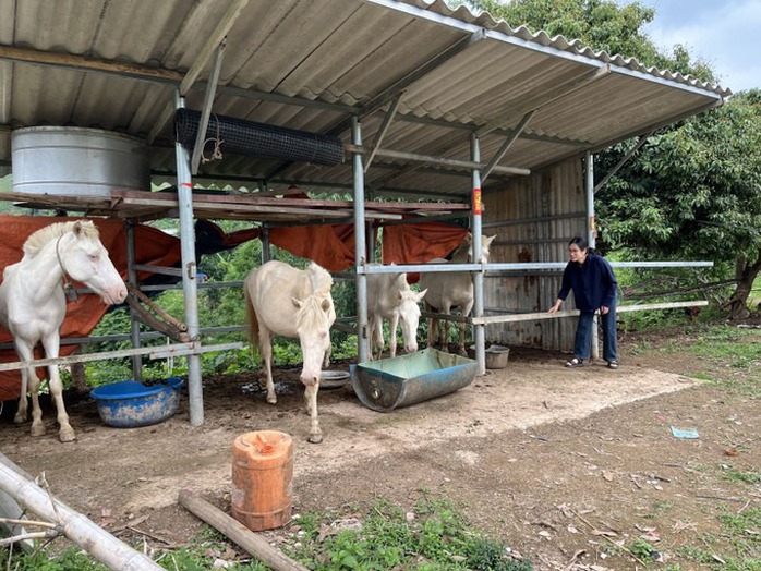 Thay đổi h&agrave;nh vi - ch&igrave;a kh&oacute;a để giảm ngh&egrave;o bền vững - Ảnh 1.