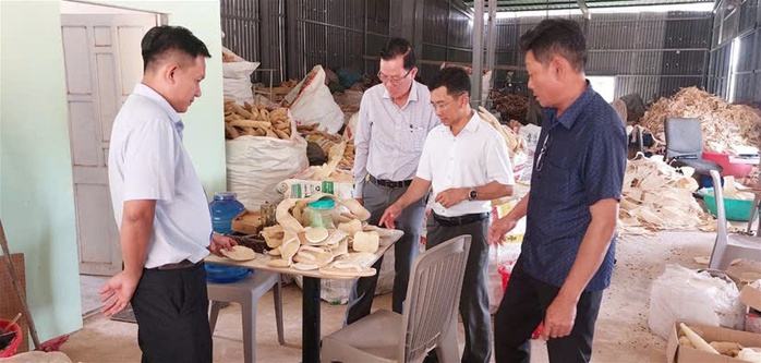 Khởi nghiệp từ xơ mướp, mở lối tho&aacute;t ngh&egrave;o cho n&ocirc;ng d&acirc;n - Ảnh 2.