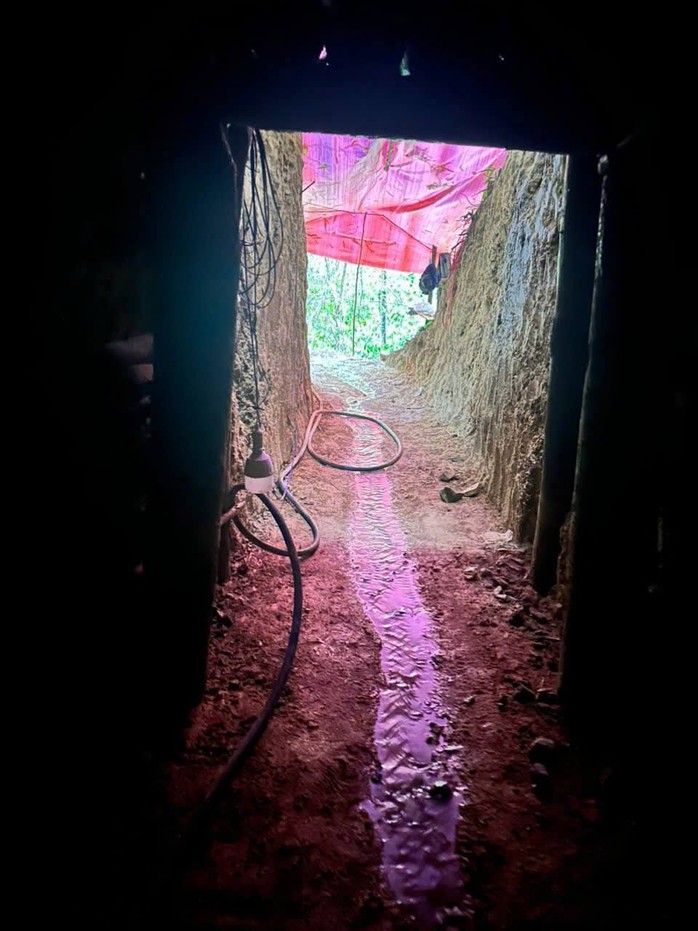 Gi&aacute; v&agrave;ng tăng cao , người d&acirc;n Đ&agrave; Nẵng t&igrave;m vận may trong rừng - Ảnh 3.