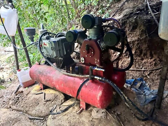 Gi&aacute; v&agrave;ng tăng cao , người d&acirc;n Đ&agrave; Nẵng t&igrave;m vận may trong rừng - Ảnh 4.