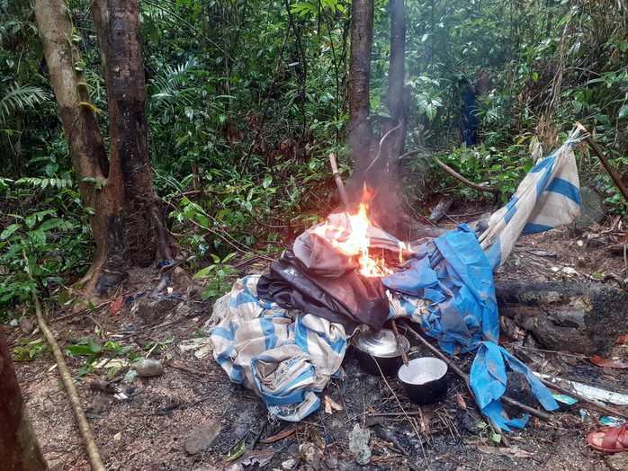 Gi&aacute; v&agrave;ng tăng cao , người d&acirc;n Đ&agrave; Nẵng t&igrave;m vận may trong rừng - Ảnh 5.