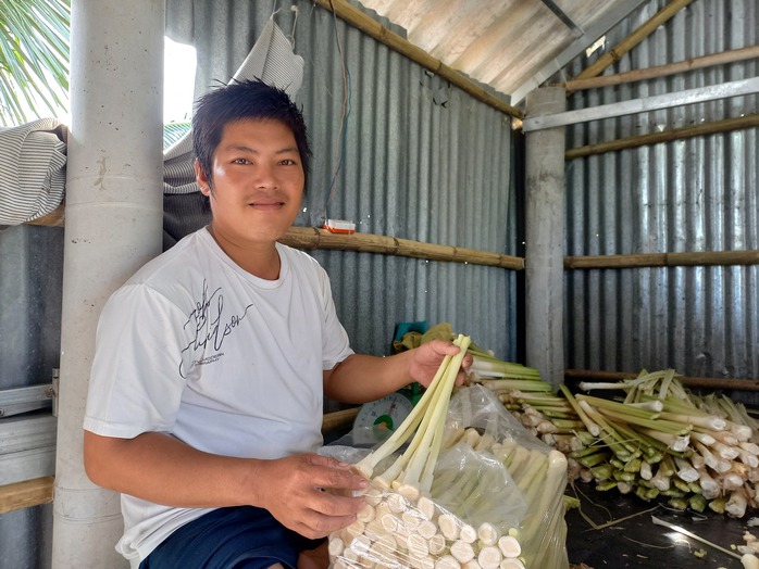 Lo&agrave;i c&acirc;y mọc hoang ở C&agrave; Mau gi&uacute;p người d&acirc;n vươn l&ecirc;n tho&aacute;t ngh&egrave;o v&agrave; c&oacute; thu nhập kh&aacute; - Ảnh 2.