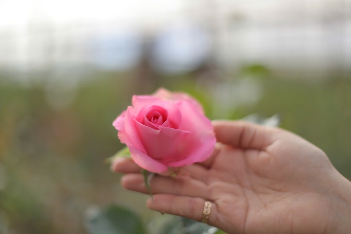 Người đồng b&agrave;o ở ch&acirc;n n&uacute;i Lang Biang tho&aacute;t ngh&egrave;o nhờ c&acirc;y t&igrave;nh y&ecirc;u - Ảnh 4.