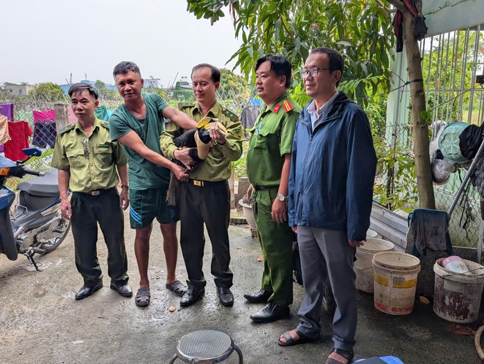 Quy tr&igrave;nh xử l&yacute; đối với chim qu&yacute; hiếm người d&acirc;n giao nộp ra sao? - Ảnh 1.