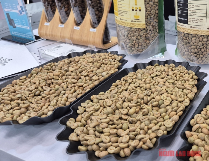 Giá cà phê hôm nay 26-12: Trong nước tăng nóng, Trung Quốc tăng mua mạnh mẽ - Ảnh 1.