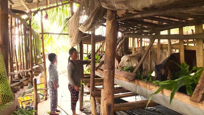 Kết quả ấn tượng của C&agrave; Mau trong c&ocirc;ng t&aacute;c giảm ngh&egrave;o - Ảnh 2.