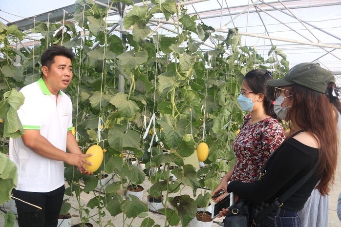 Phủ xanh v&ugrave;ng hoang h&oacute;a, tạo sinh kế bền vững - Ảnh 2.