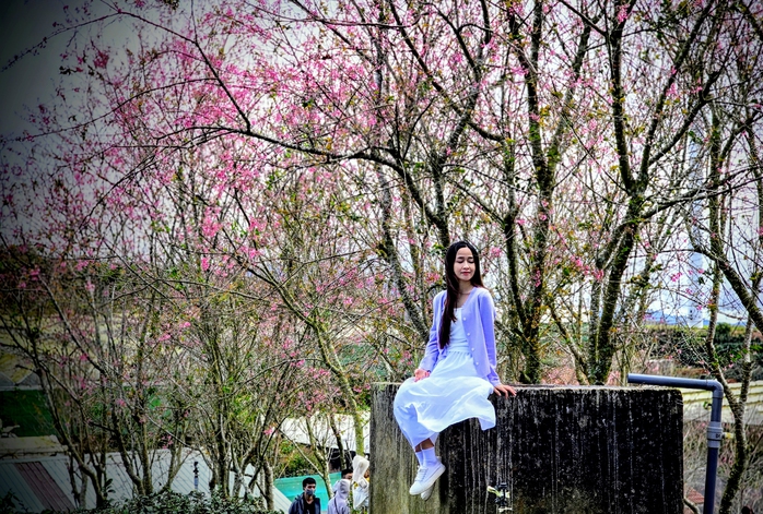 Quang Dũng, diva Hồng Nhung biểu diễn trong Lễ hội Mai anh đ&agrave;o Đ&agrave; Lạt - Ảnh 4.