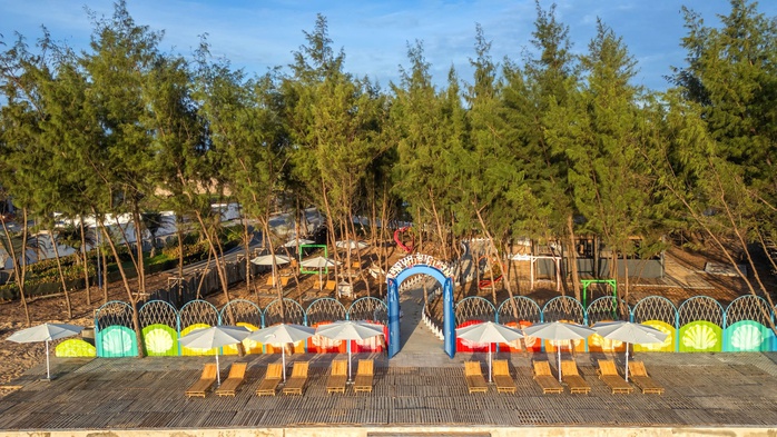 Phủ xanh v&ugrave;ng hoang h&oacute;a, tạo sinh kế bền vững - Ảnh 1.