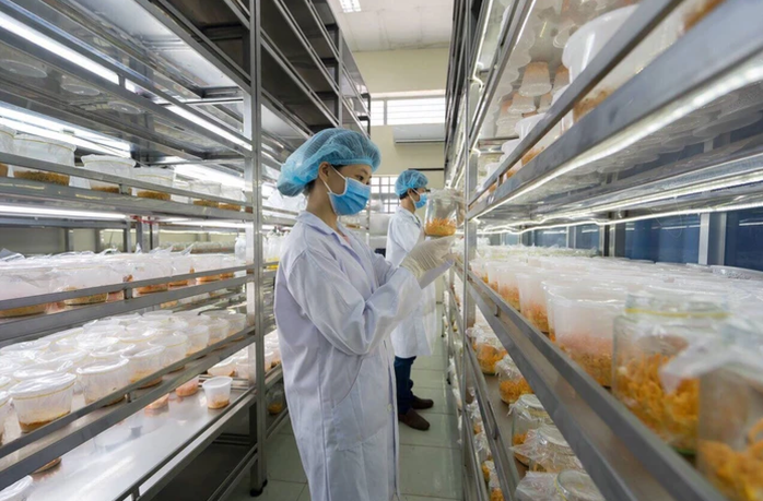 Vốn , c&ocirc;ng nghệ v&agrave; con người trong sản xuất n&ocirc;ng nghiệp hữu cơ tại Việt Nam - Ảnh 2.