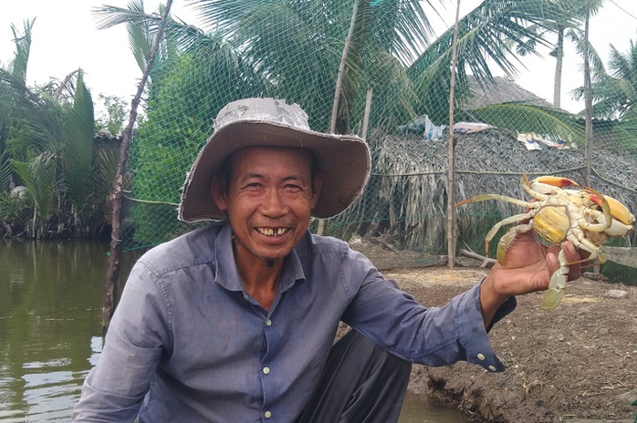 VIDEO: Cua gạch C&agrave; Mau tăng 200.000 đồng/kg - Ảnh 1.