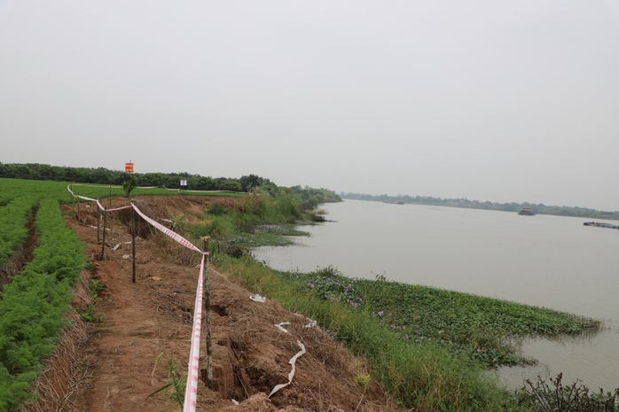 Khởi tố th&ecirc;m 4 bị can trong vụ sạt lở k&egrave; Nguy&ecirc;n H&ograve;a , đ&ecirc; s&ocirc;ng Luộc - Ảnh 1.