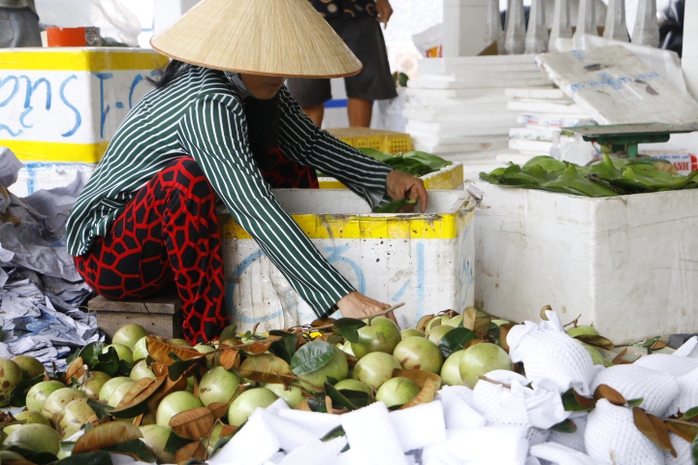 Trồng v&uacute; sữa một vụ, n&ocirc;ng d&acirc;n l&atilde;i hơn 200 triệu đồng/ha - Ảnh 2.