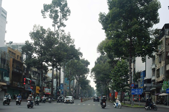 TP HCM tăng tốc xanh h&oacute;a đ&ocirc; thị - Ảnh 1.