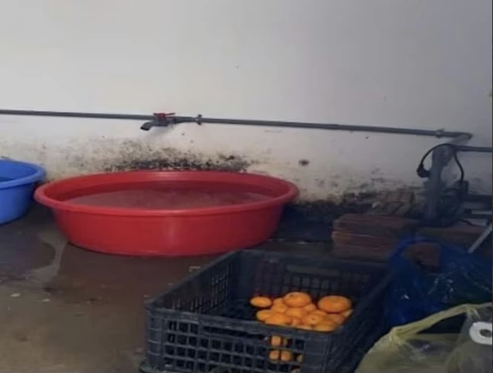 Ph&aacute;t hiện vi phạm an to&agrave;n thực phẩm trong cung cấp suất ăn b&aacute;n tr&uacute; cho học sinh - Ảnh 1.