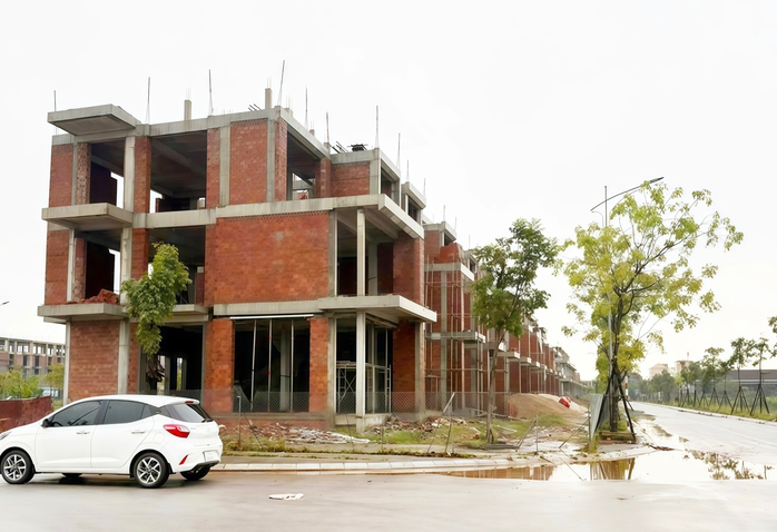 Nhiều sai phạm bị ph&aacute;t hiện qua thanh tra ở Quảng Trị - Ảnh 1.