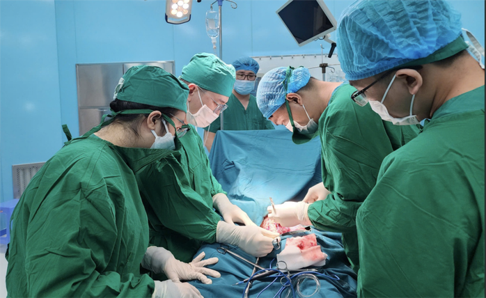 10 sự kiện n&agrave;o nổi bật nhất của Ng&agrave;nh Y tế TPHCM năm 2025? - Ảnh 3.