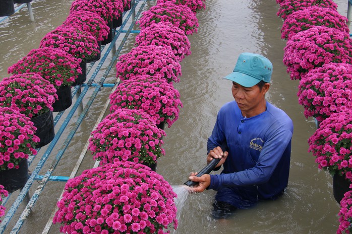 C&uacute; h&iacute;ch mạnh mẽ cho du lịch miền T&acirc;y - Ảnh 2.