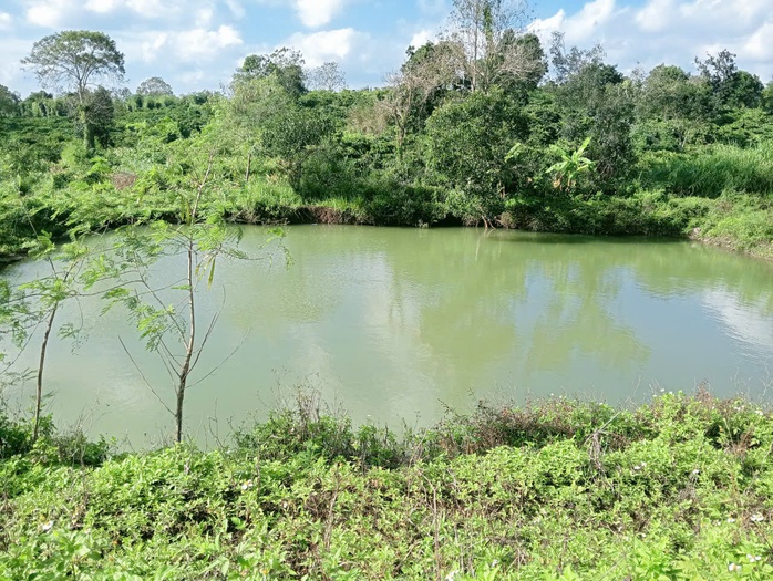 3 Ch&aacute;u nhỏ tử vong thương t&acirc;m do đuối nước ở Đắk Lắk - Ảnh 1.