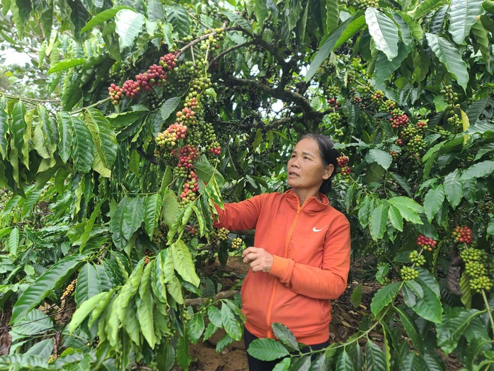 Giảm ngh&egrave;o bền vững bằng tri thức - Ảnh 4.