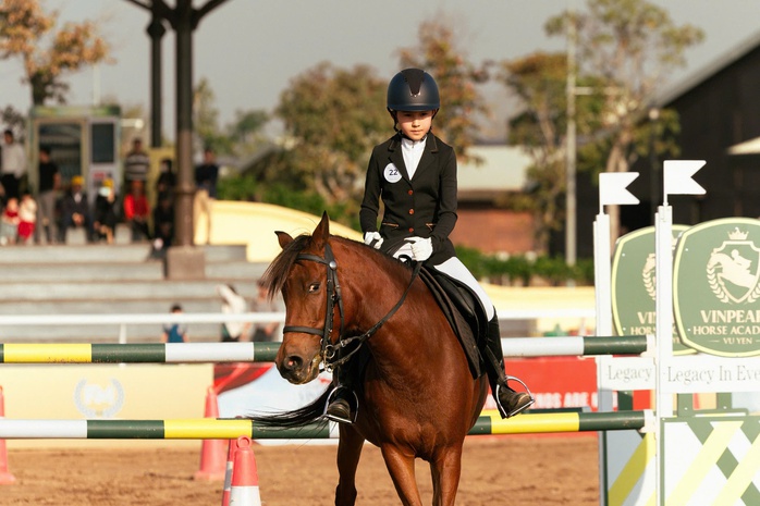 Vinpearl Equestrian Cup 2025: Bước đột ph&aacute; của thể thao cưỡi ngựa Việt Nam - Ảnh 10.