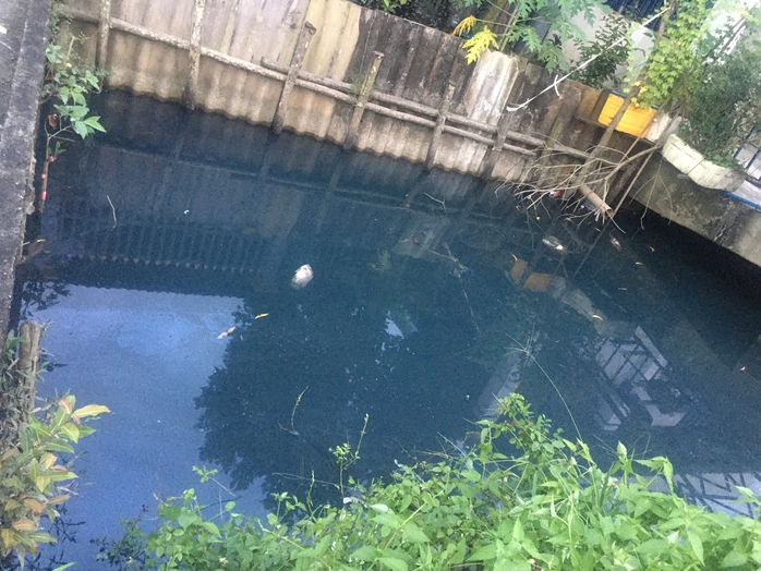 Nhiều người dân ở Tây Ninh bức xúc với dòng kênh nước đen hôi thối - Ảnh 4.