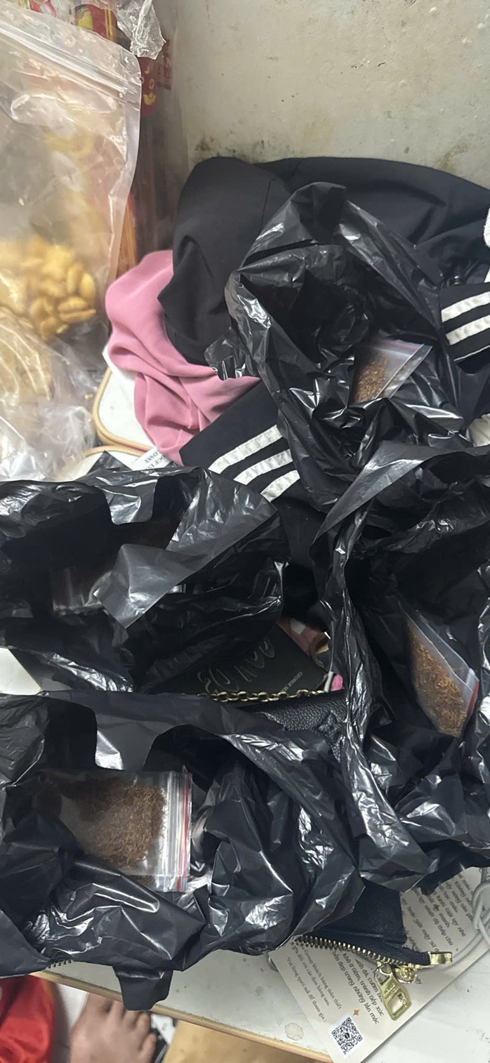 - Ảnh 5. - Ảnh 5.